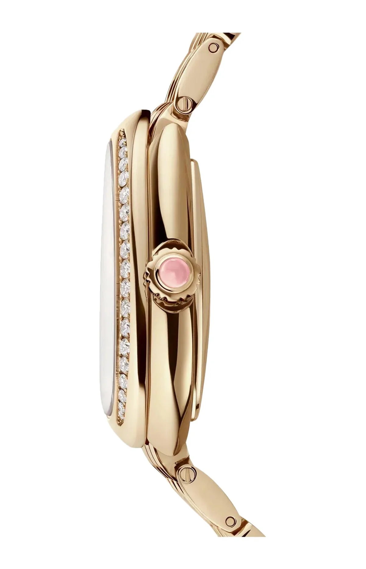 Serpenti 4