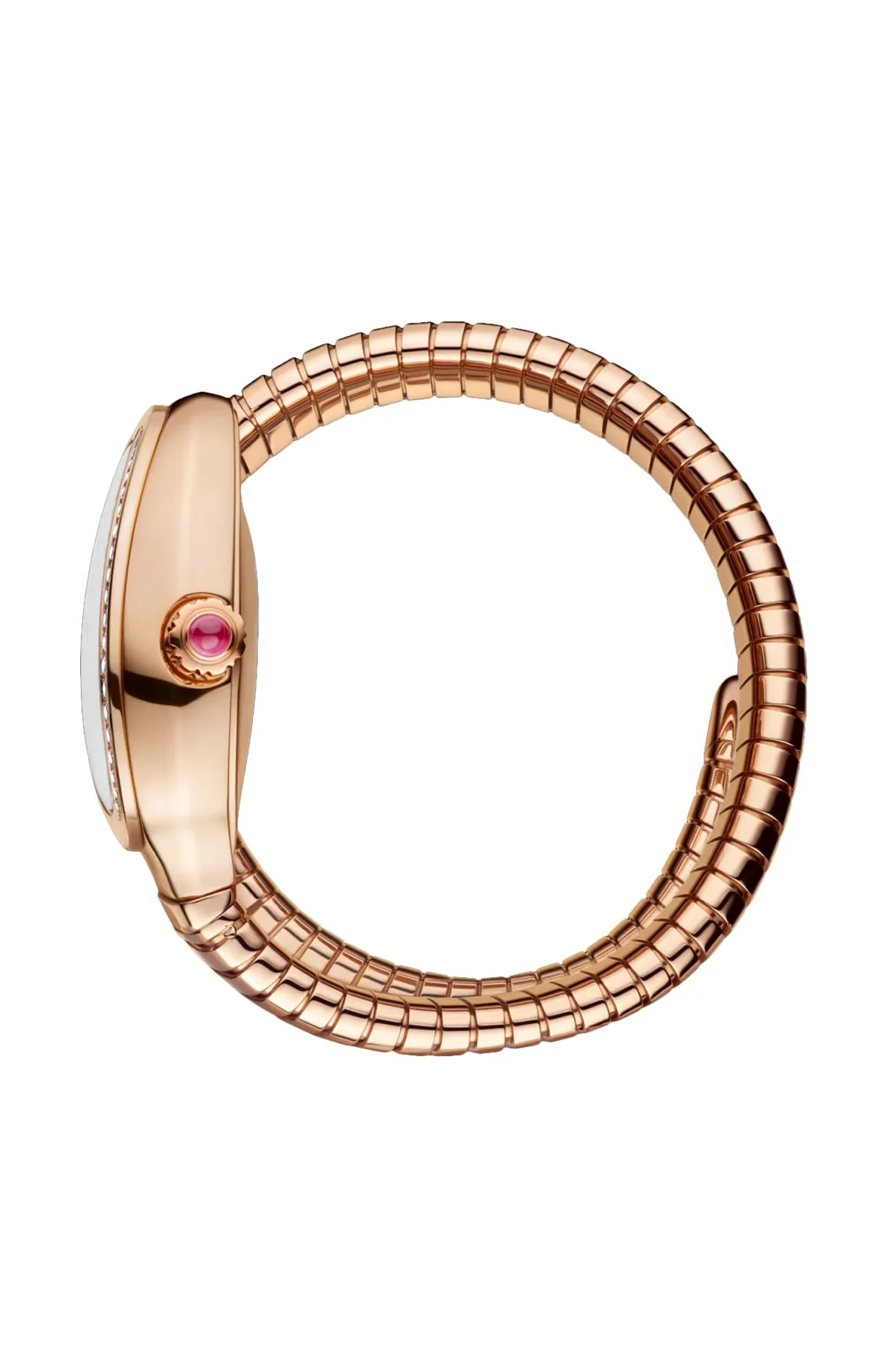 Serpenti 2