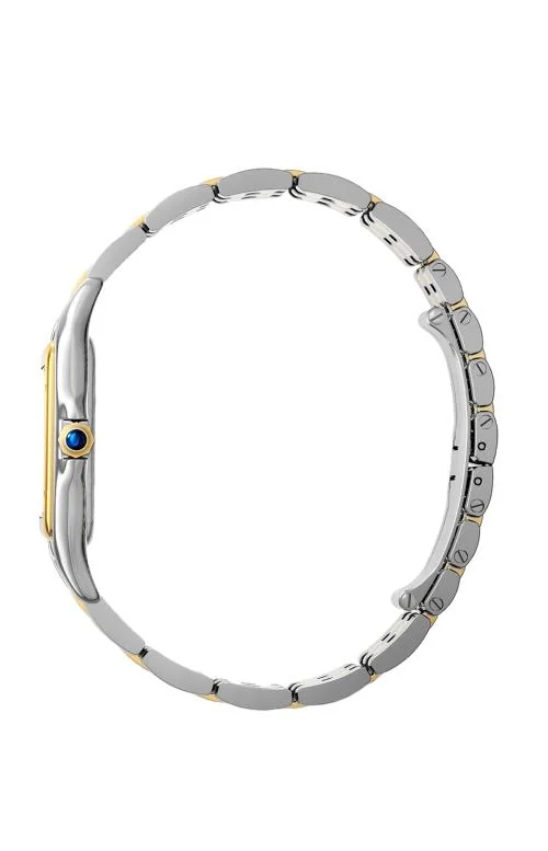Panthère De Cartier, Modello Grande, Acciaio, Oro Giallo, Quarzo 2