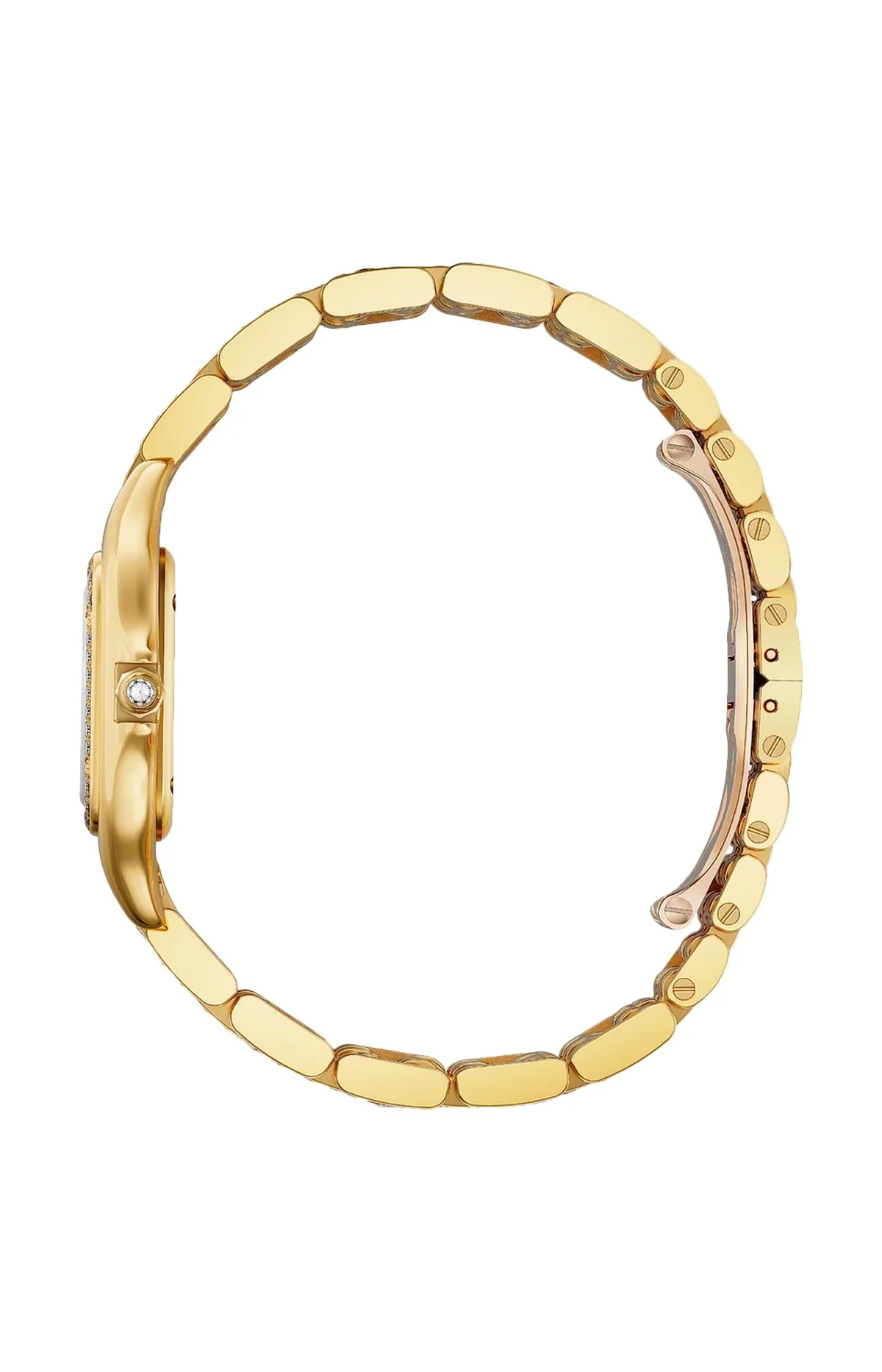 Panthère De Cartier, Modello Medio, Oro Giallo, Diamanti, 4