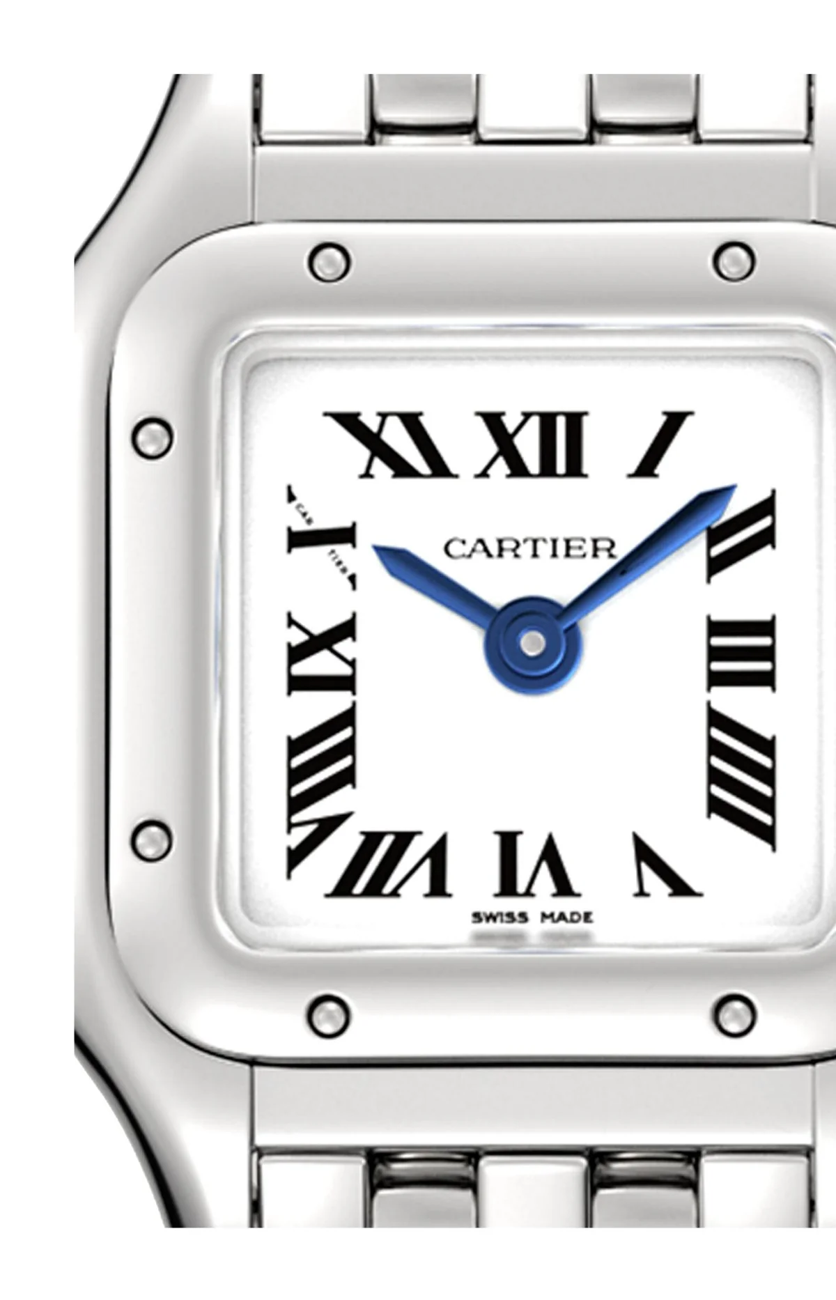 Panthère De Cartier, Modello Mini, Acciaio, 4