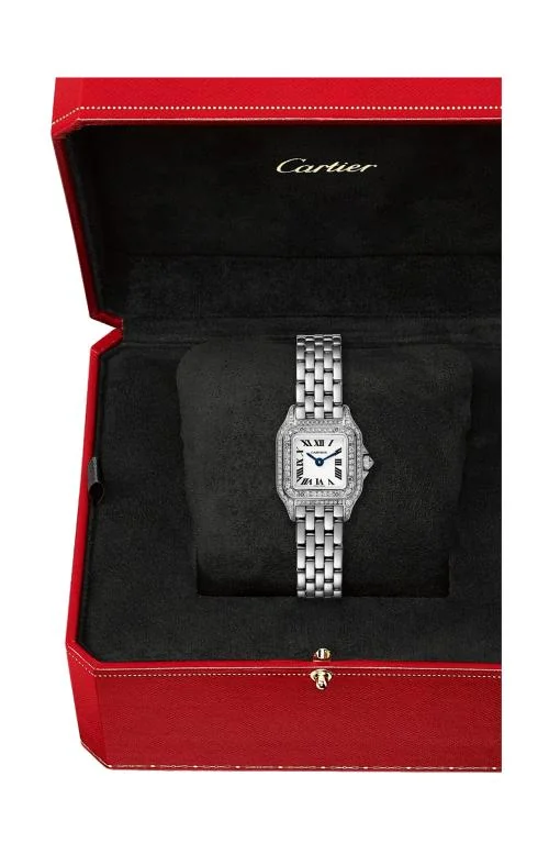 Panthère De Cartier, Modello Mini, Oro Bianco, Diamanti, 3