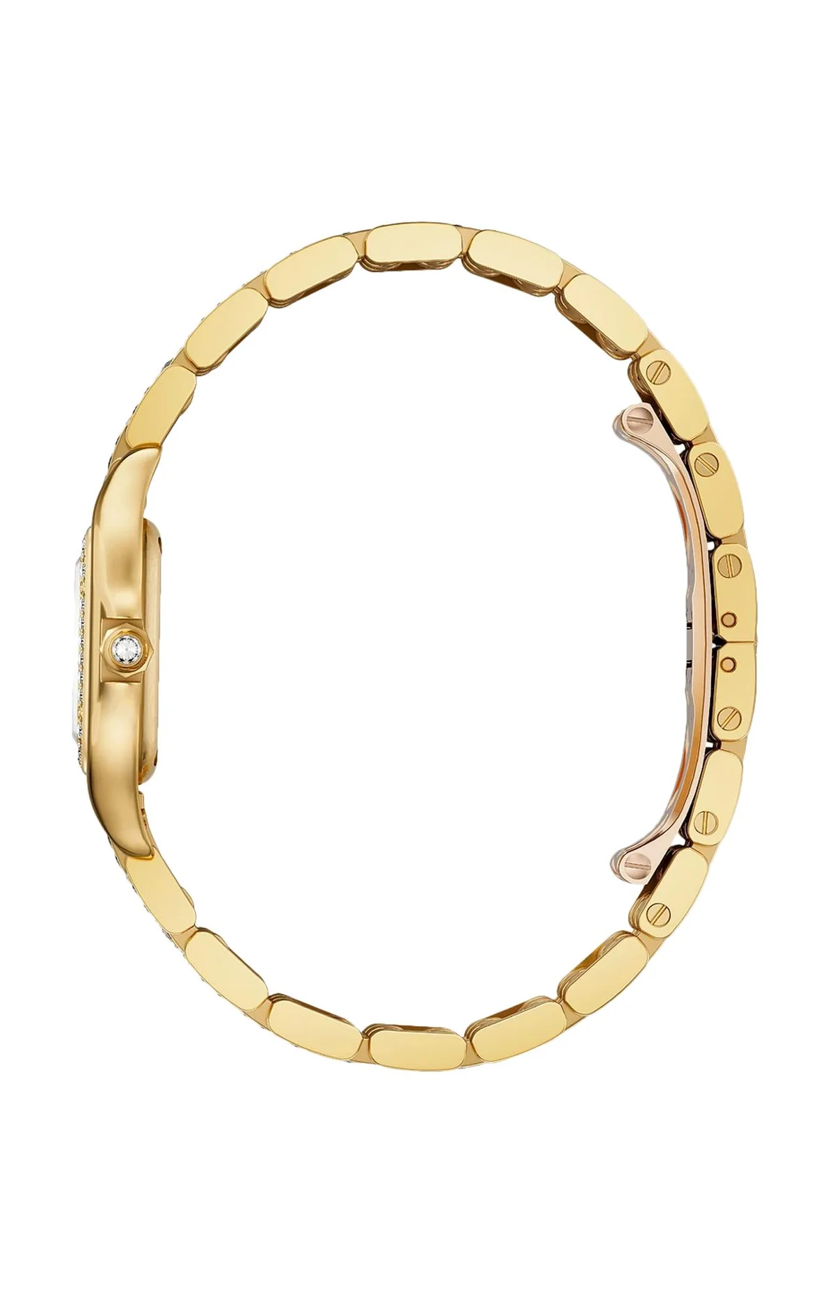 Panthère De Cartier, Modello Piccolo, Oro Giallo, Diamanti, 4
