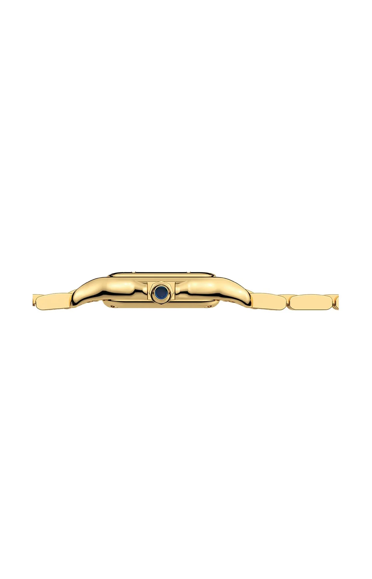 Panthère De Cartier, Modello Piccolo, Oro Giallo, 6