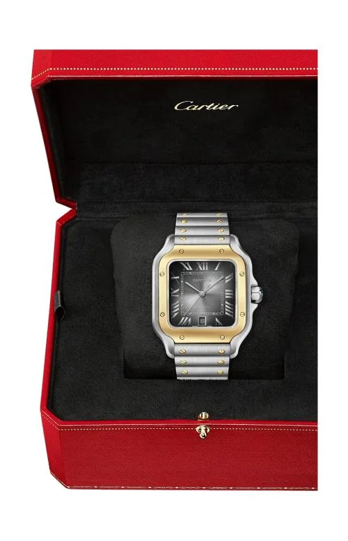 Santos De Cartier, Modello Grande, Acciaio, Oro Rosa, Automatico 5