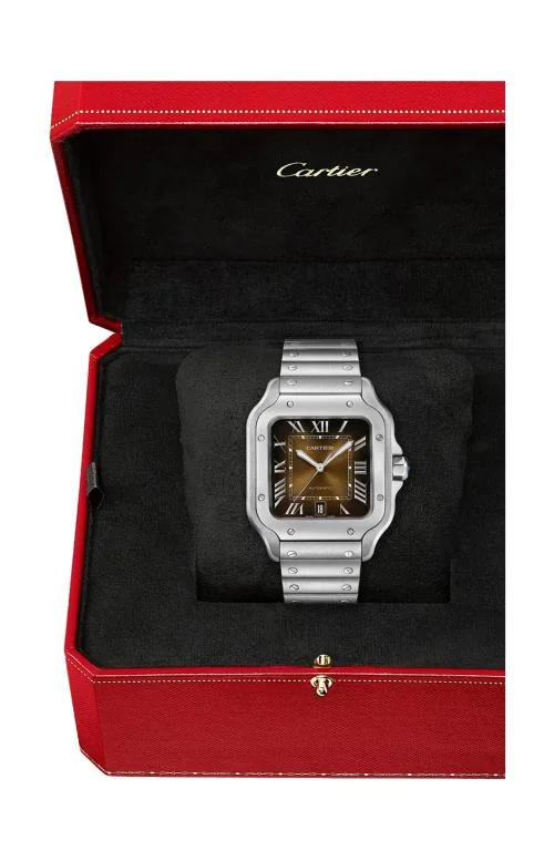Santos De Cartier, Modello Grande, Acciaio, 5