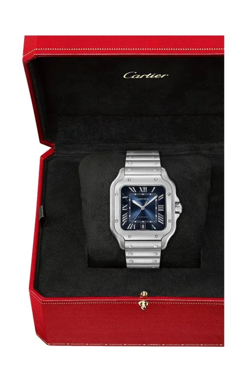 Santos De Cartier, Modello Grande, Acciaio, 5