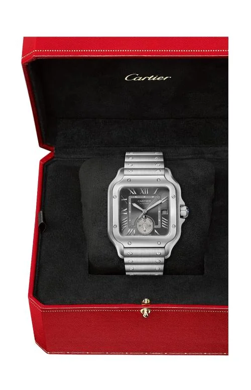 Santos De Cartier, Modello Grande, Acciaio, 4