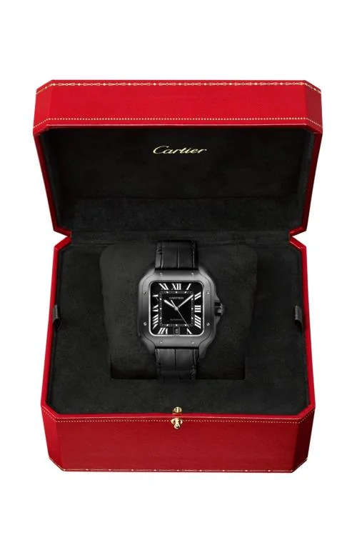 Santos De Cartier Modello Grande, Automatico, Acciaio Adlc, Cinturini Intercambiabili In Pelle E Caucciù 3