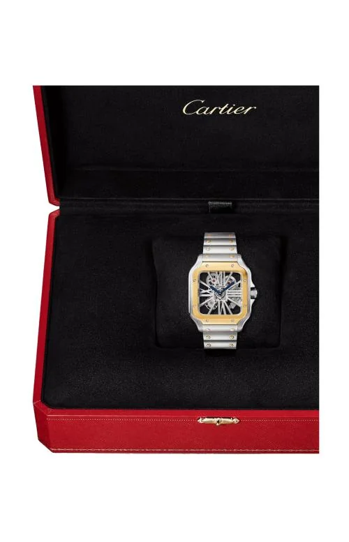 Santos De Cartier, Modello Grande, Oro Giallo, Acciaio, 2