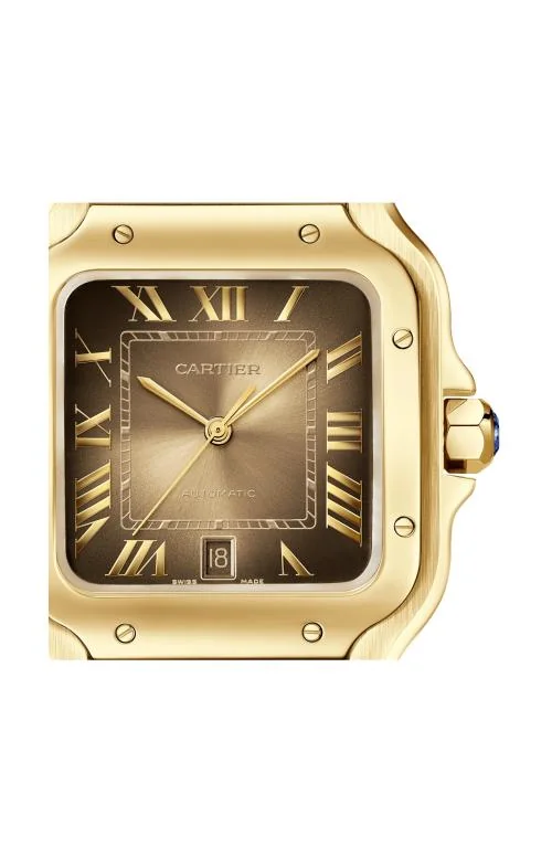 Santos De Cartier, Modello Grande, Oro Giallo, 6