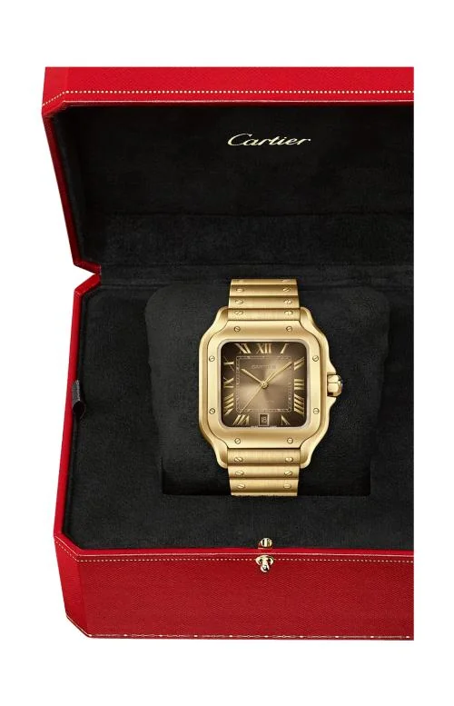 Santos De Cartier, Modello Grande, Oro Giallo, 7
