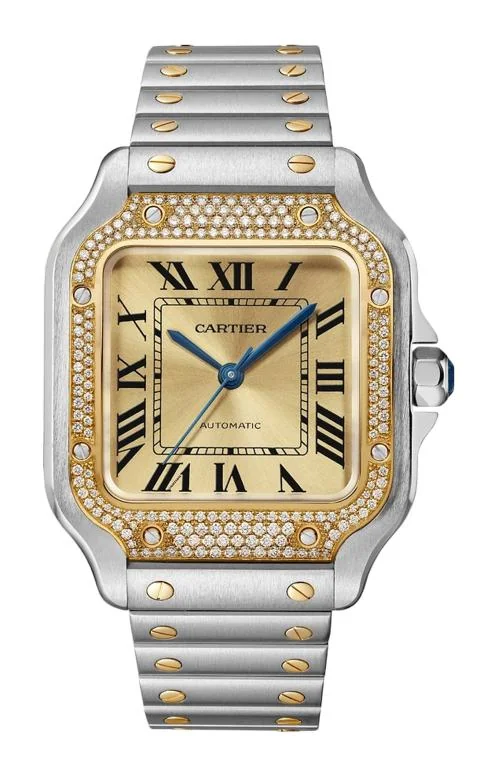 Santos De Cartier, Modello Medio, Acciaio, Oro Giallo, Diamanti, Automatico