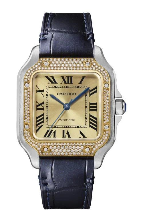Santos De Cartier, Modello Medio, Acciaio, Oro Giallo, Diamanti, Automatico 2