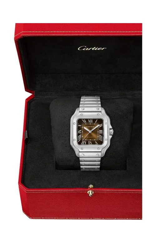 Santos De Cartier, Modello Medio, Acciaio, 4
