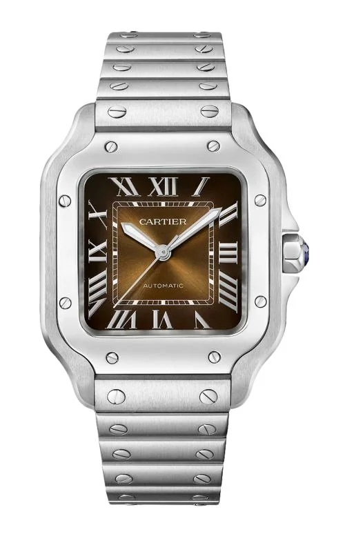 Santos De Cartier, Modello Medio, Acciaio,