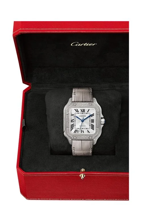 Santos De Cartier Modello, Medio, Oro Bianco, Diamanti, 4