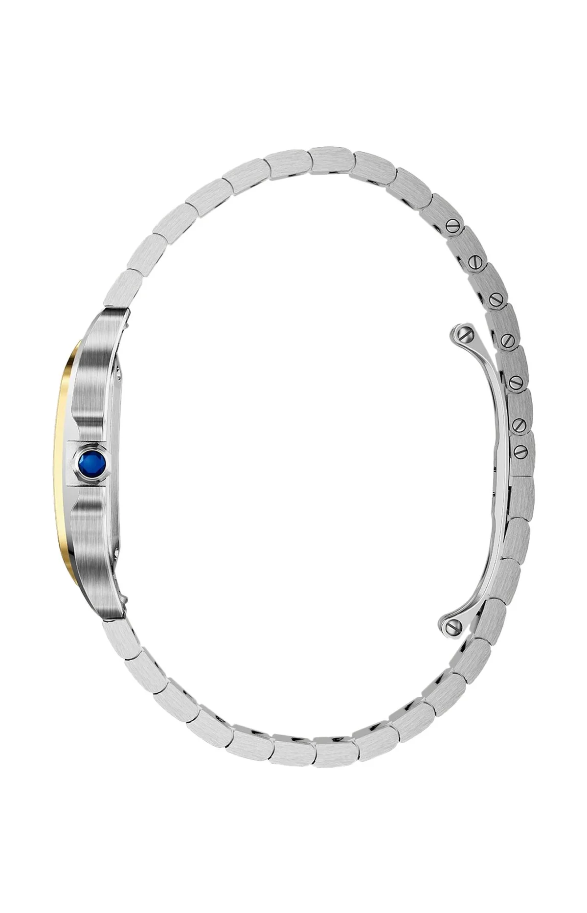 Santos De Cartier Modello Piccolo, Acciaio E Oro Giallo, Quarzo 3