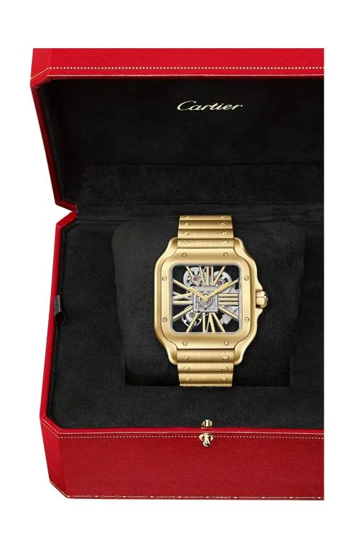 Santos De Cartier Squelette, Modello Grande, Oro Giallo, Schelerato, 3
