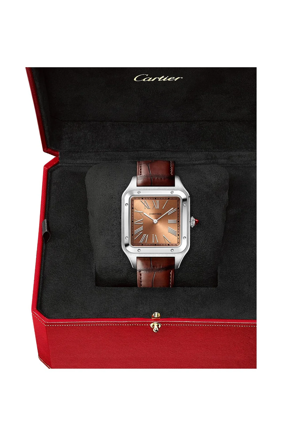 Santos-Dumont Modello Extra-Large, Paltino, Manuale - Limited 4