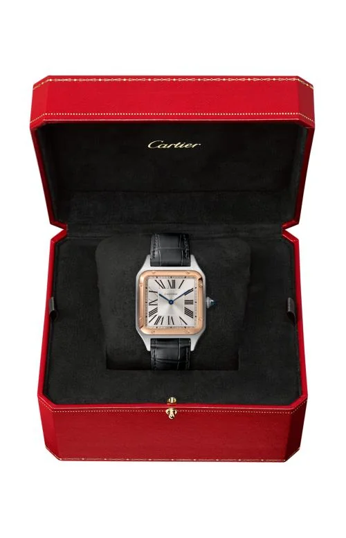 Santos Dumont Modello Grande, Oro E Acciaio, Pelle Di Alligatore - W2Sa0011 2