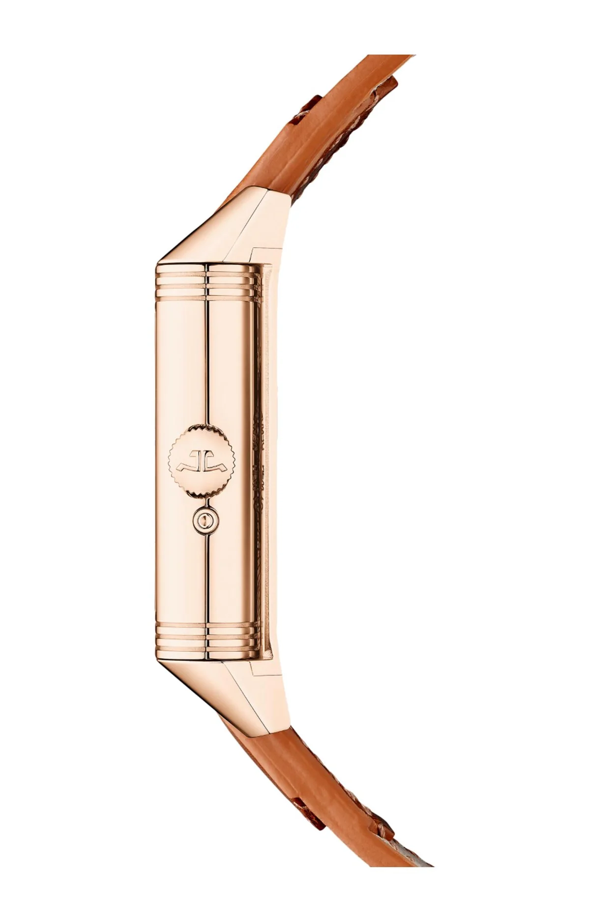Reverso Tribute Geographic - Limited Edition 3