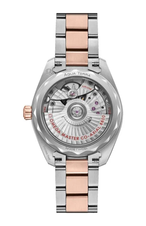 Aqua Terra 150M 34 Mm, Acciaio-Oro Sedna™ Su Acciaio-Oro Sedna™ 2