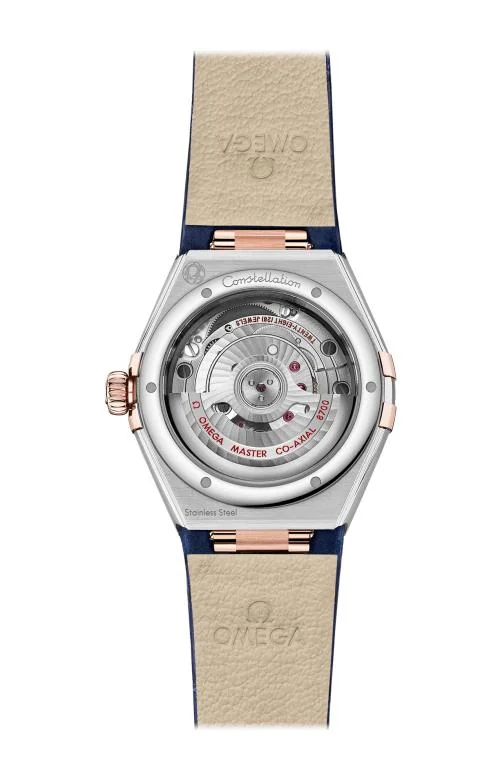 Constellation 29 Mm, Acciaio-Oro Sedna™ Su 2