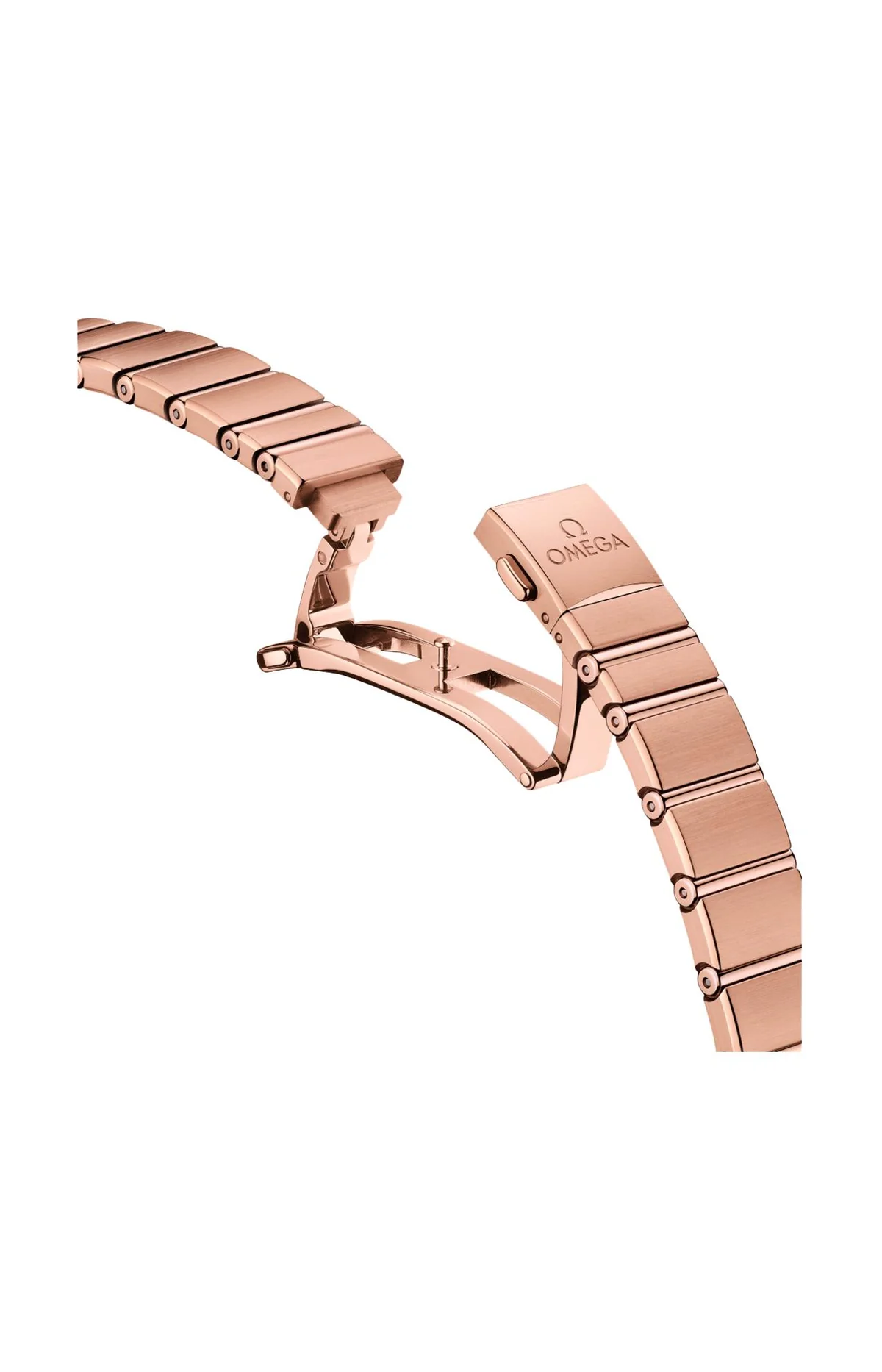 Constellation 29 Mm, Oro Sedna™ Su Oro Sedna™ 3