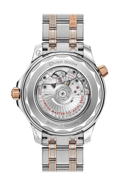 Diver 300M Omega Co-Axial Master Chronometer 42 Mm 2