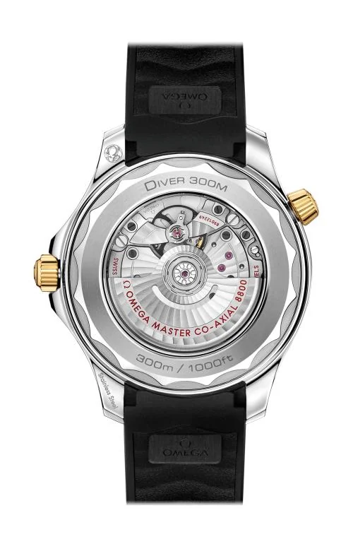 Diver 300M Omega Co-Axial Master Chronometer 42 Mm 2