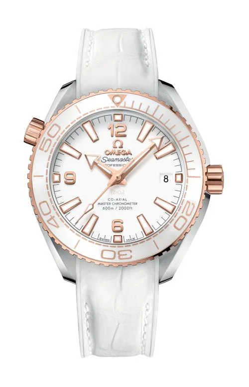 Planet Ocean 600M Omega Co-Axial Master Chronometer 39,5 Mm