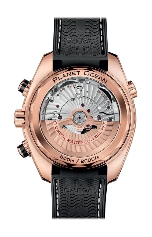 Planet Ocean 600M Omega Co-Axial Master Chronometer Chronograph 45,5 Mm 2