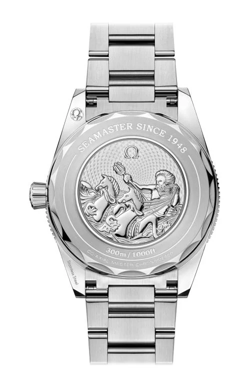 Seamaster 300 41 Mm, Acciaio Su 2