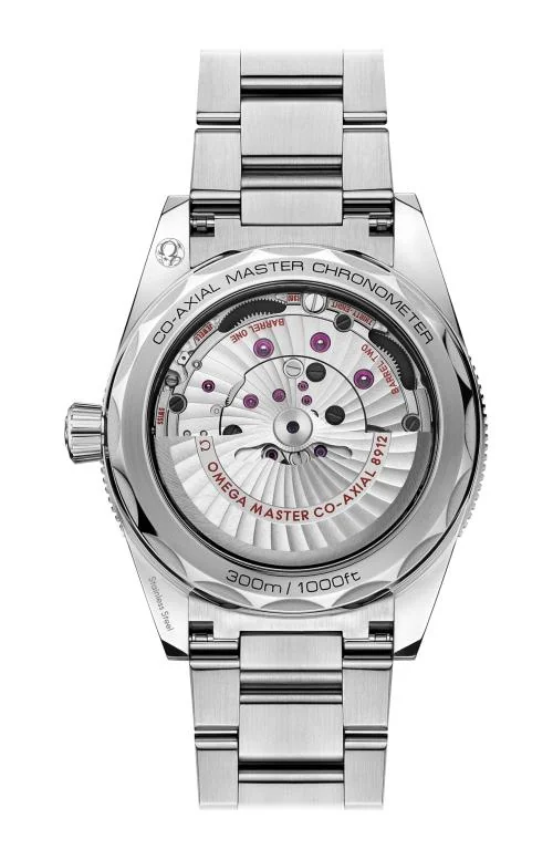 Seamaster 300 Co-Axial Master Chronometer 41 M M 2
