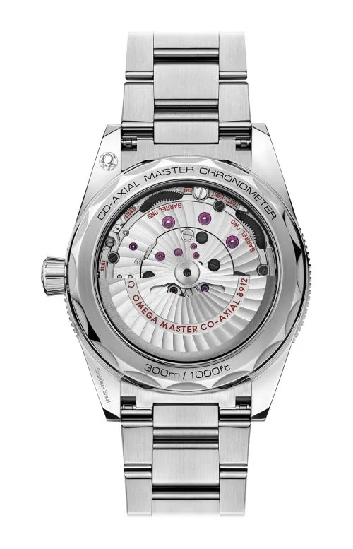 Seamaster 300 Co-Axial Master Chronometer 41 Mm 2
