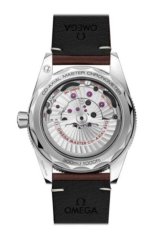 Seamaster 300 Co-Axial Master Chronometer 41 Mm 2