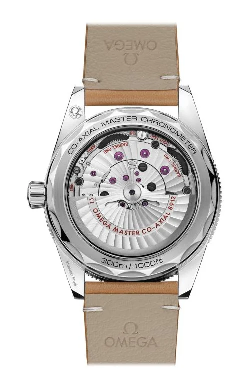 Seamaster 300 Co-Axial Master Chronometer 41 Mm 2