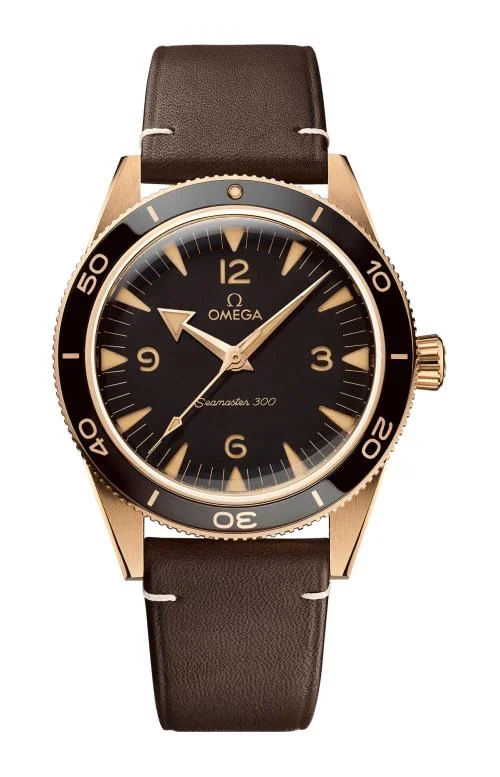 Seamaster 300 Co-Axial Master Chronometer 41 Mm