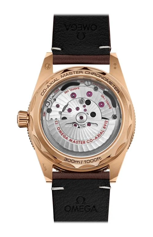 Seamaster 300 Co-Axial Master Chronometer 41 Mm 2