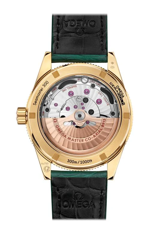 Seamaster 300 Omega Co-Axial Master Chronometer 41 Mm 2