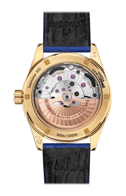 Seamaster 300 Omega Co-Axial Master Chronometer 41 Mm 2