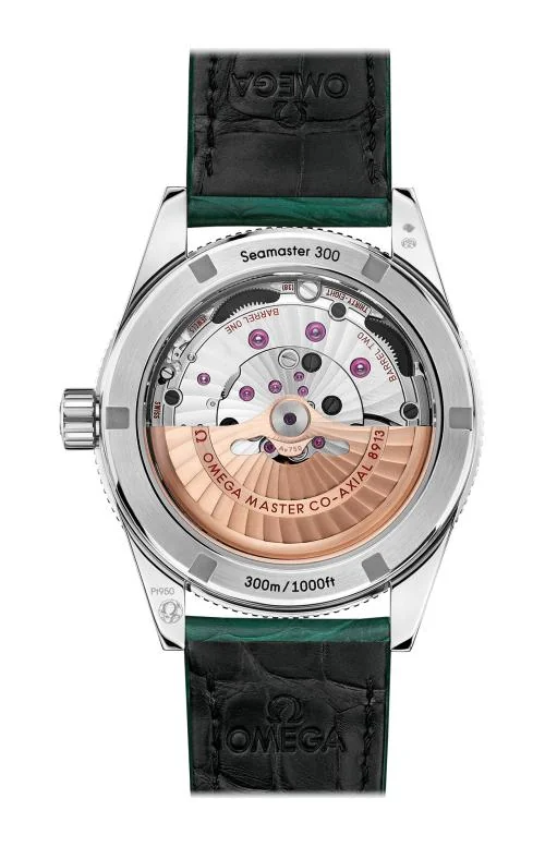 Seamaster 300 Omega Co-Axial Master Chronometer 41 Mm 2