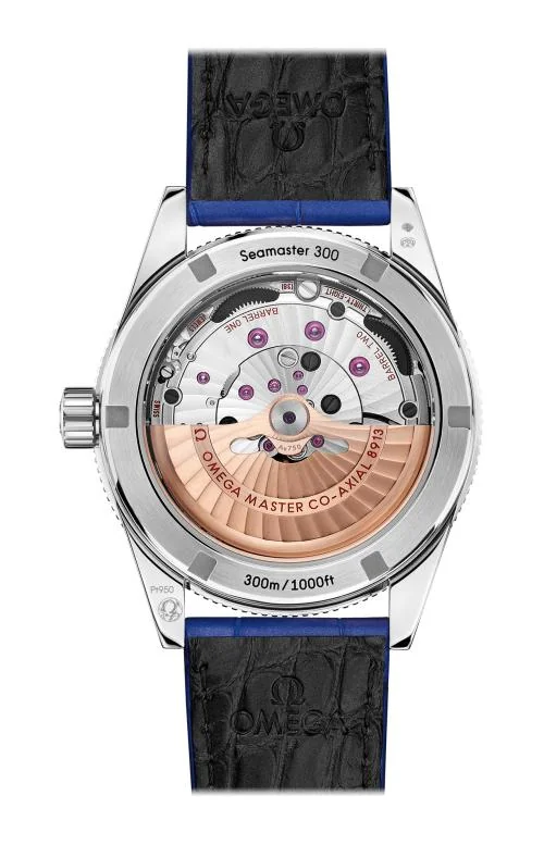 Seamaster 300 Omega Co-Axial Master Chronometer 41 Mm 2