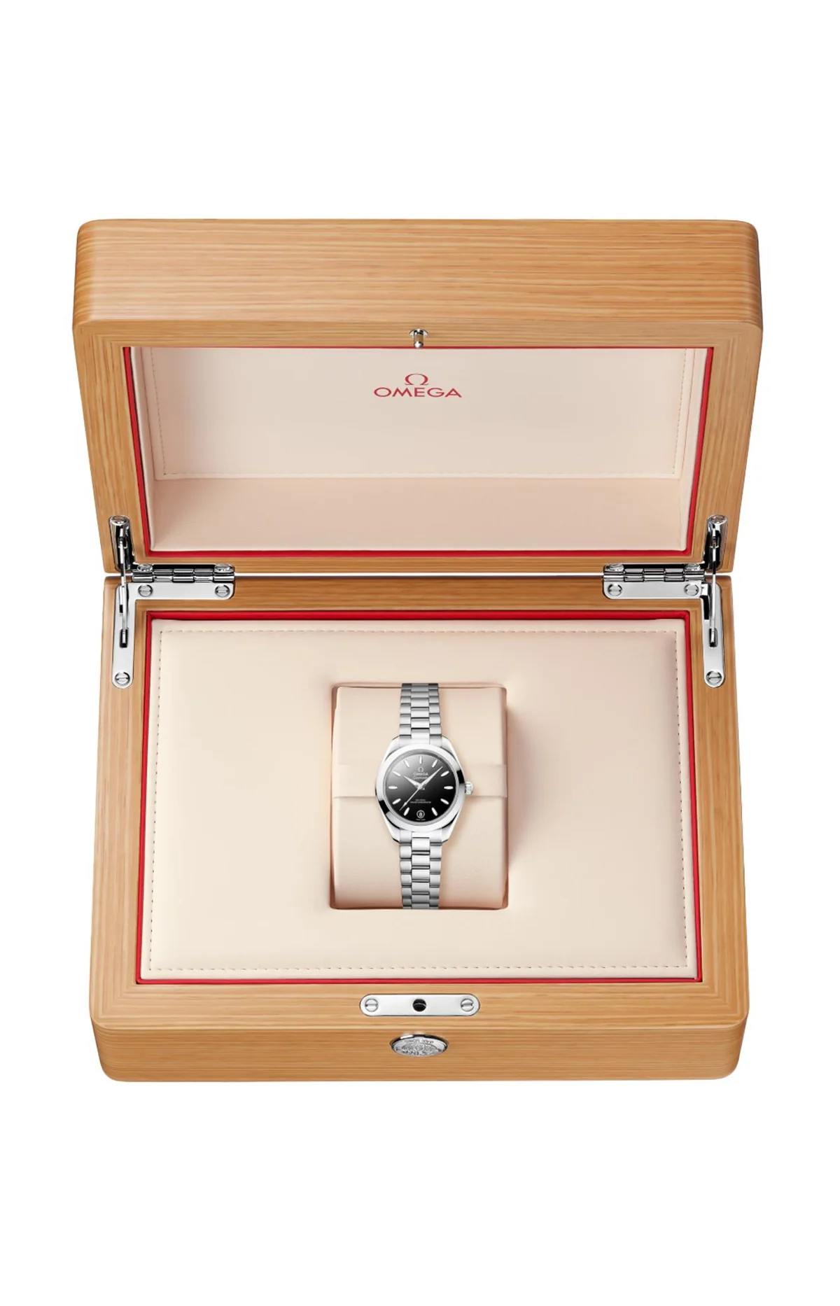 Seamaster Aqua Terra 150M 30 Mm, Acciaio Su 6