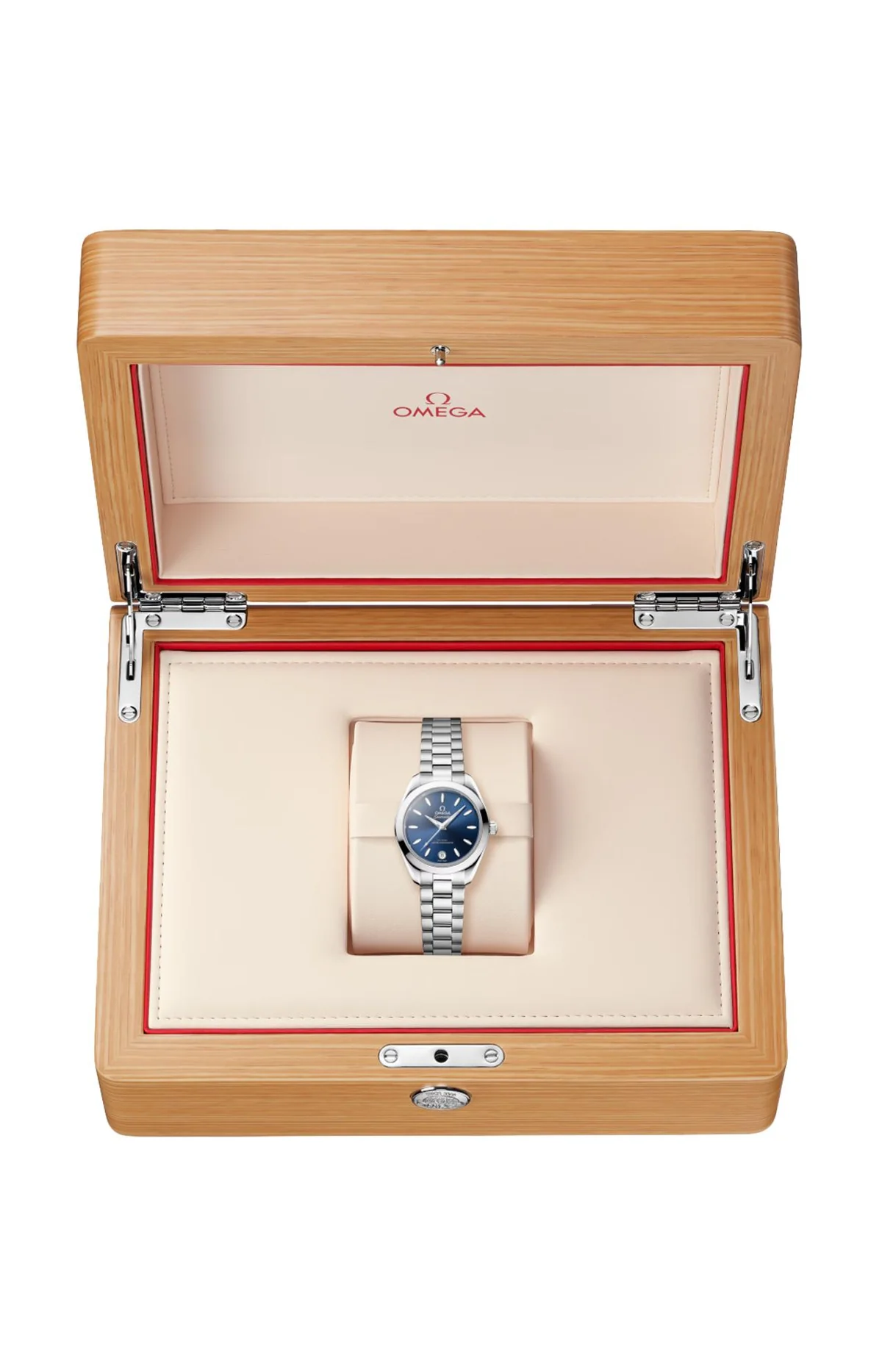 Seamaster Aqua Terra 150M 30 Mm, Acciaio Su 5