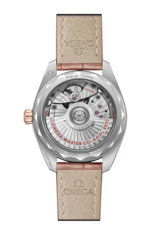 Seamaster Aqua Terra 150M 34 Mm, Acciaio-Oro Sedna™ Su 2