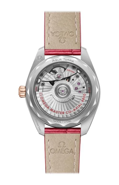 Seamaster Aqua Terra 150M 34 Mm, Acciaio-Oro Sedna™ Su 2
