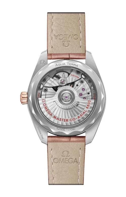 Seamaster Aqua Terra 150M 34 Mm, Acciaio-Oro Sedna™ Su 2