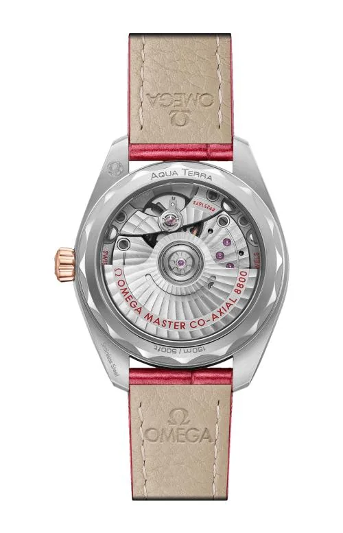 Seamaster Aqua Terra 150M 34 Mm, Acciaio-Oro Sedna™ Su 2